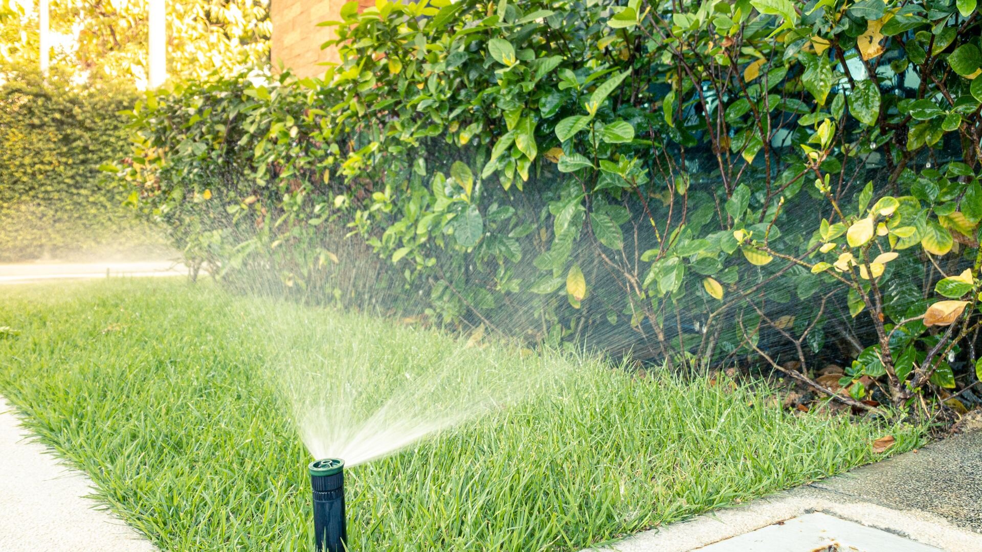 Water Sprinkler Efficient