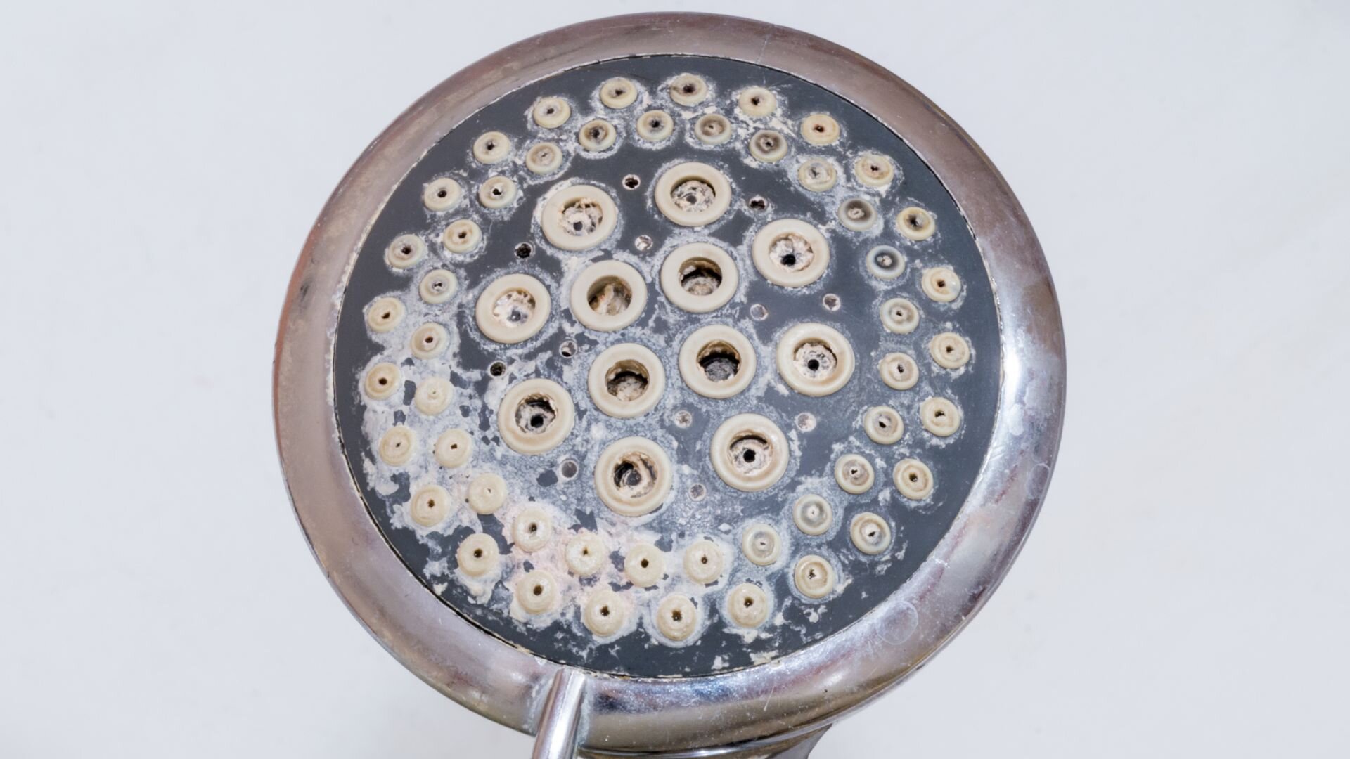 Mineral Deposit Shower Head