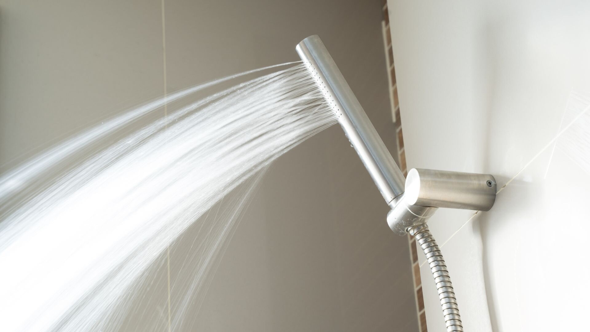 Flo Shower Head