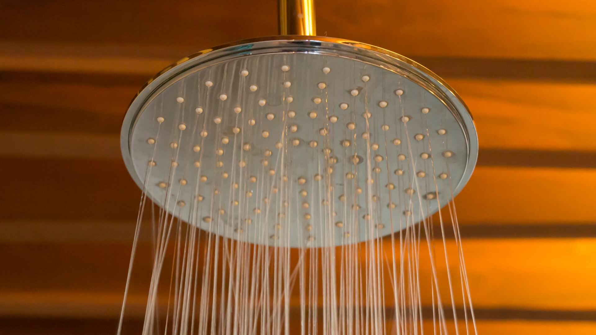 Rain Shower Head