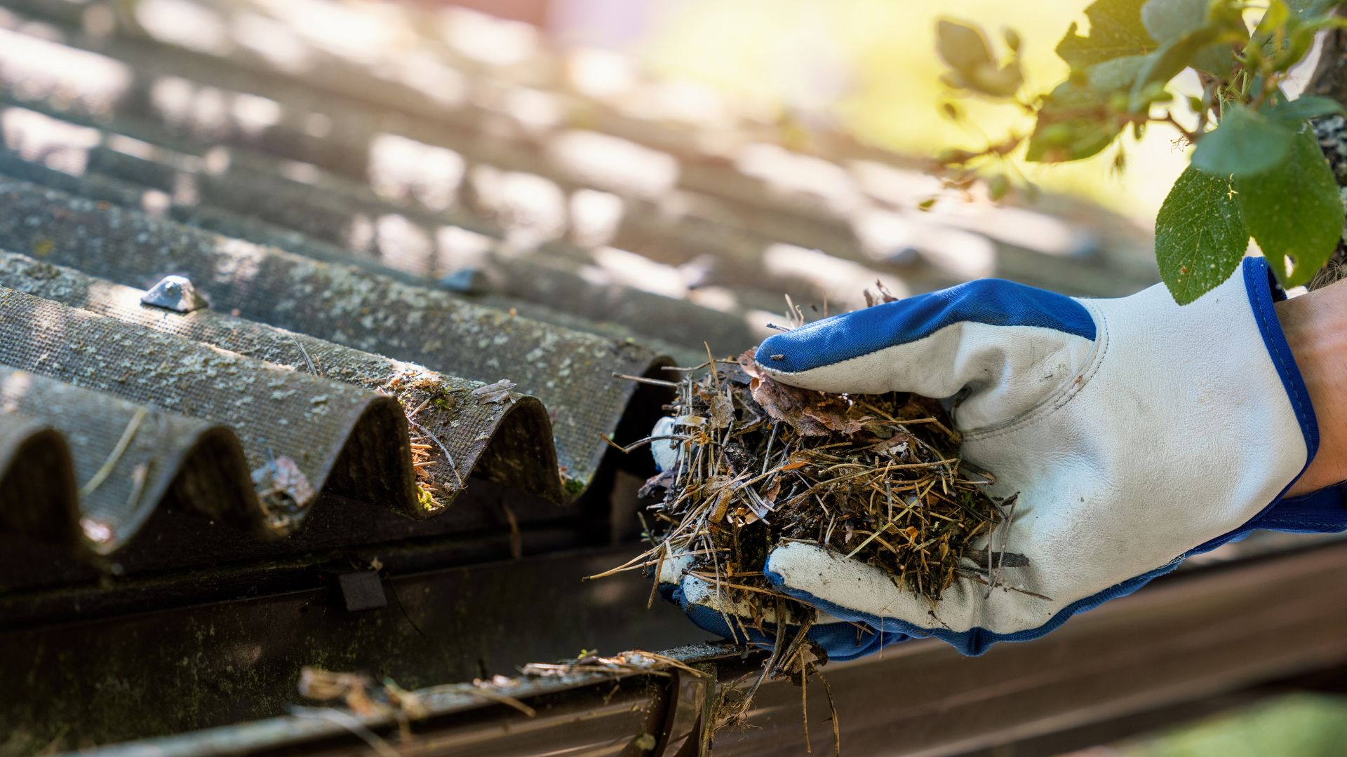 Removing Debris Blocked Gutter