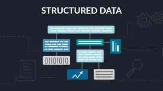 What Is Schema/Structured Data & How To Use It? Schema/Structured Data & ?