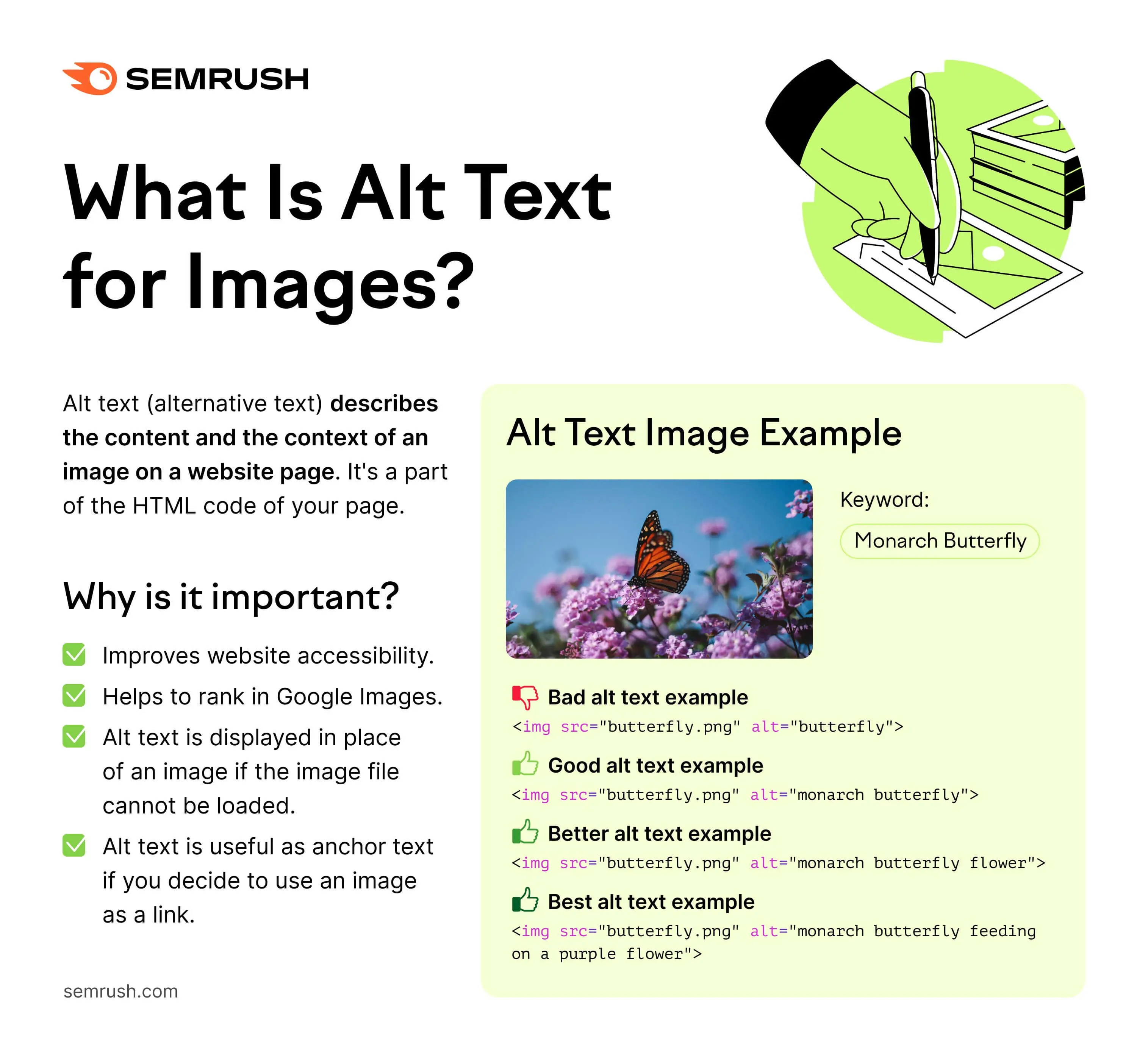 Html Image Alt Text