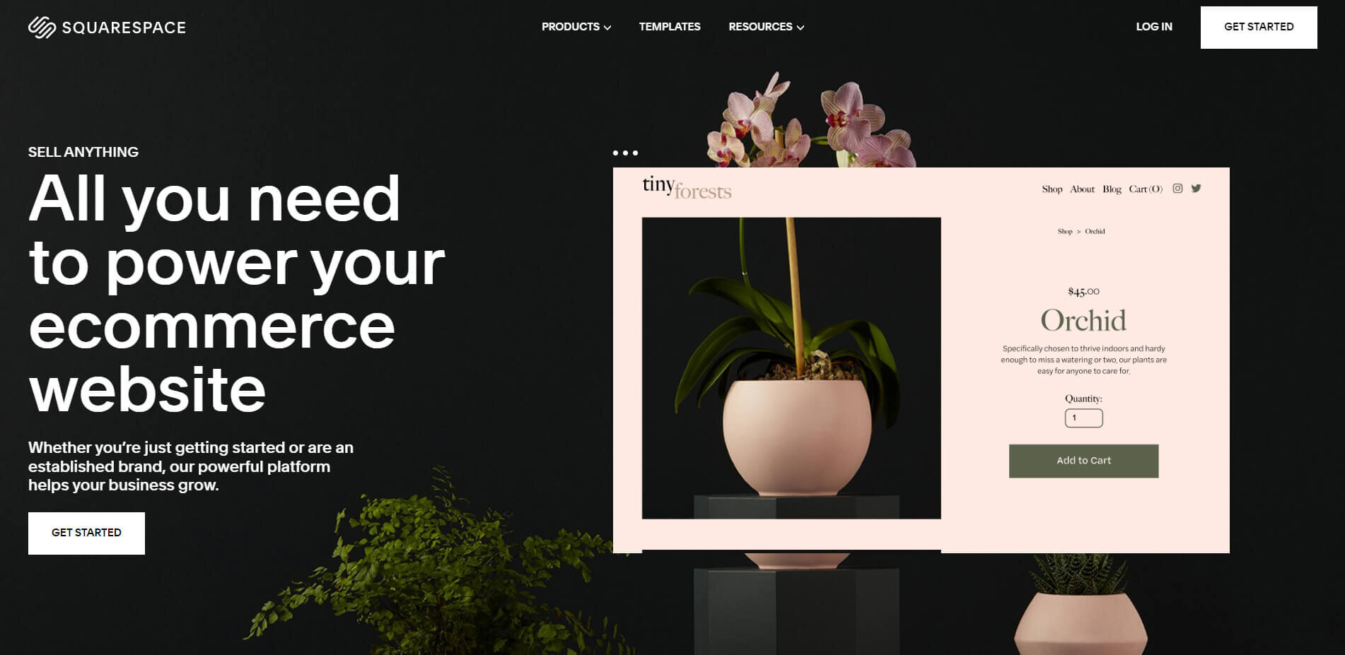 Ecommerce Squarespace Screenshot