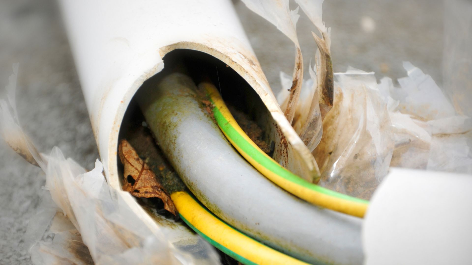 2024 09 Frayed Damaged Wiires Frayed Damaged Wiires