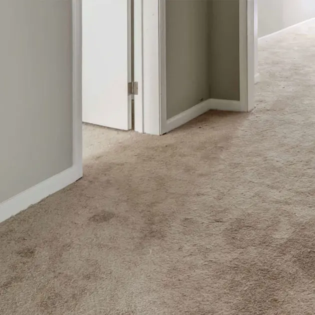 The Better Option For Your Home