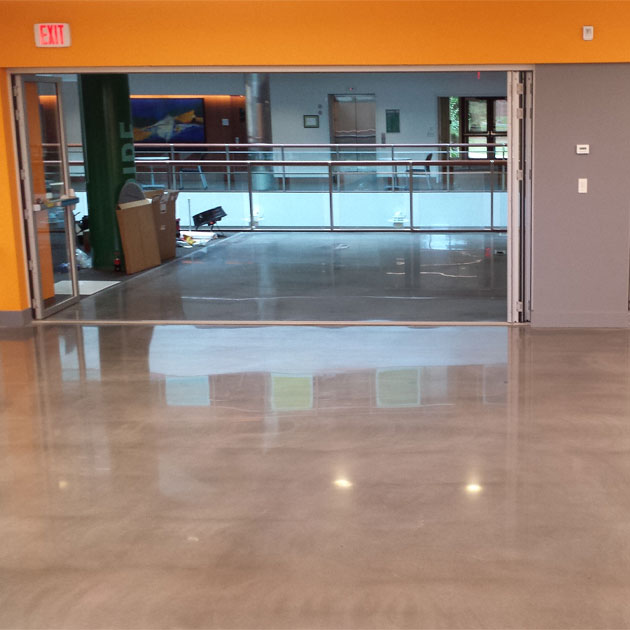 Professional Advice for all Education