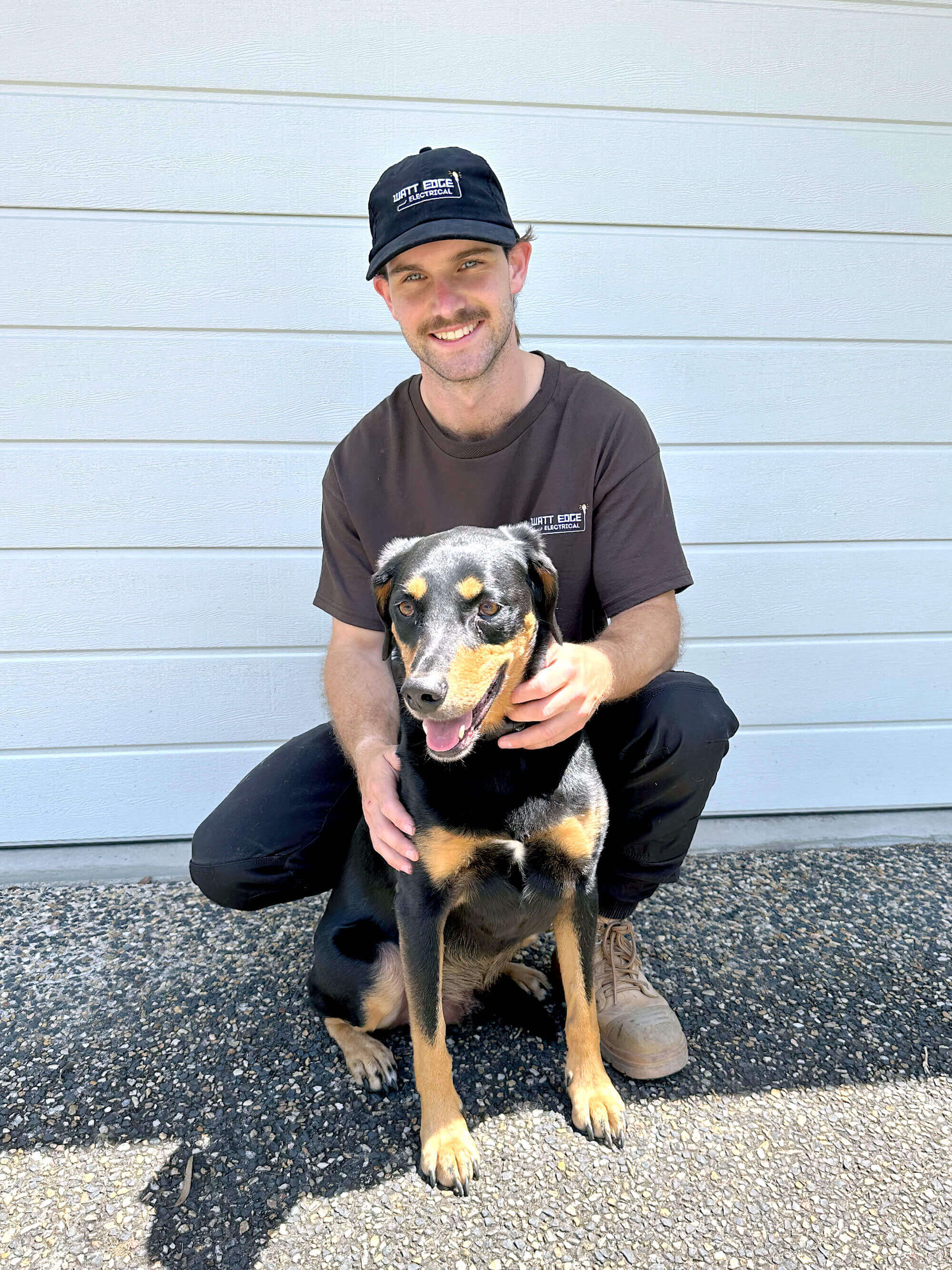 Friendly Local Electrician Dog