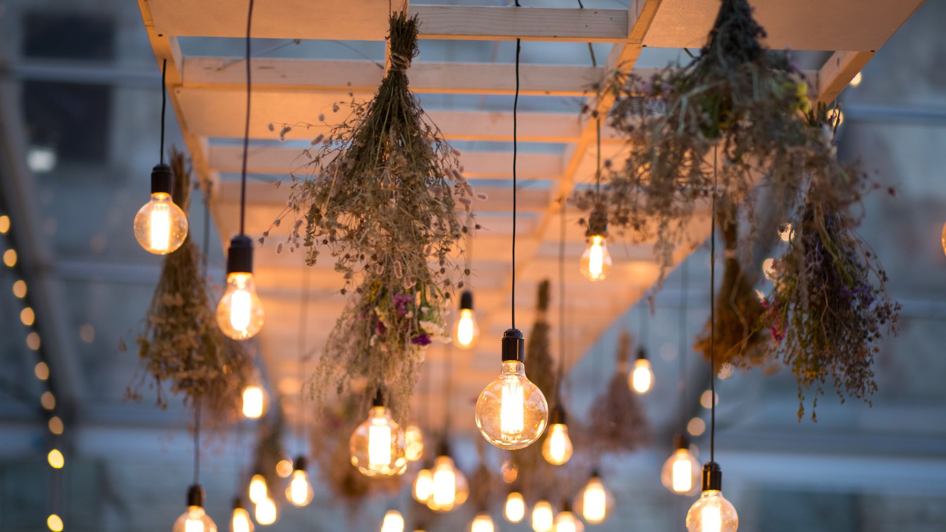2025 01 String Lighting Garden Outdoor String Lighting Garden Outdoor