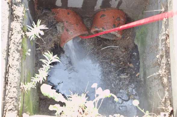 IMG 5116 1 07cee71b63 1