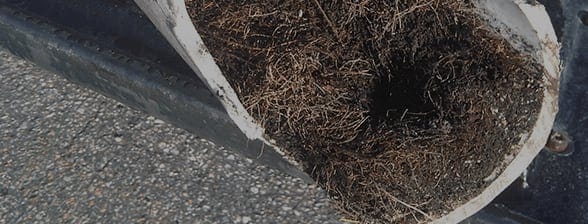 Why Blocked Drains Repairs Should Never Be a DIY Project blocked drains 1 1 2f9255684b