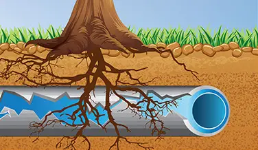 Wilco Blocked Drain in Sydney Solution