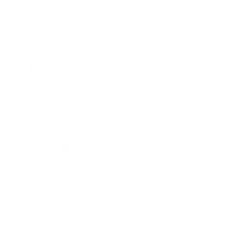 cctv-svgrepo-com (1)