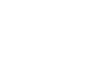 Woolf Plumbing & Gas Logo