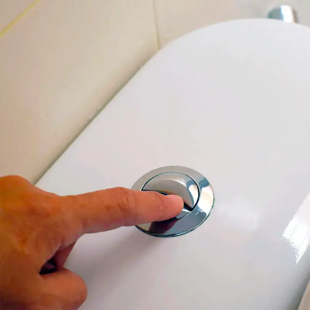 Flushing Toilet Button Flushing Toilet Button