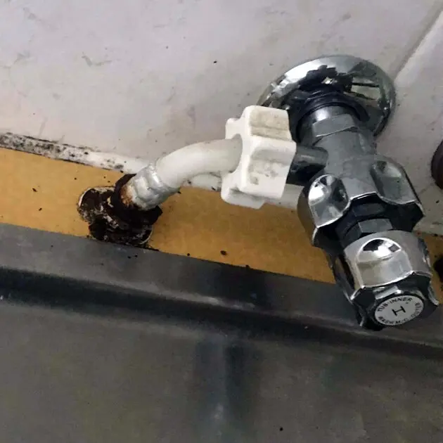 Home Plumbing Health Testing