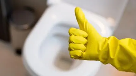 Simple Ways To Unblock A Toilet Without A Plunger Simple Ways To Unblock A Toilet Without A Plunger