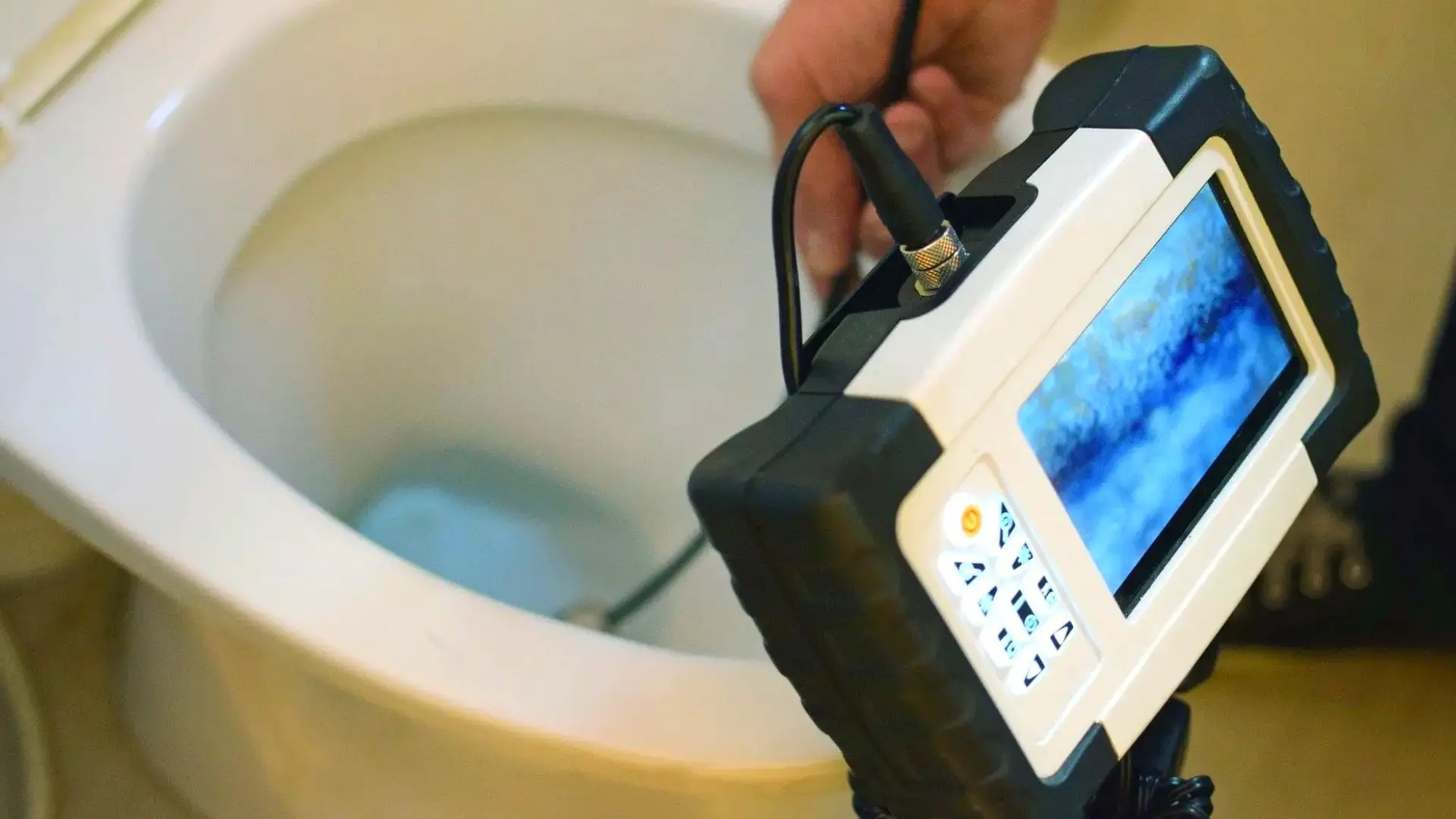 Why You Need to Have Your Drains Inspected ‐ Woolf Plumbing