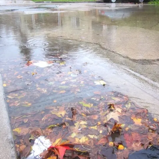 Blocked Stormwater Drain Blocked Stormwater Drain