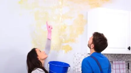 What To Do When You Have A Water Leak What To Do When You Have A Water Leak