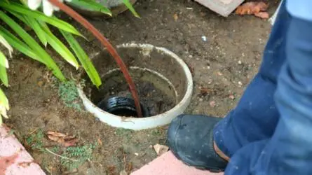 5 Signs of Sewer Drain Clogs 5 Signs of Sewer Drain Clogs