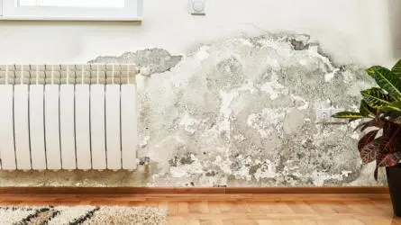 What To Do About Water Leakage In Your Wall What To Do About Water Leakage In Your Wall