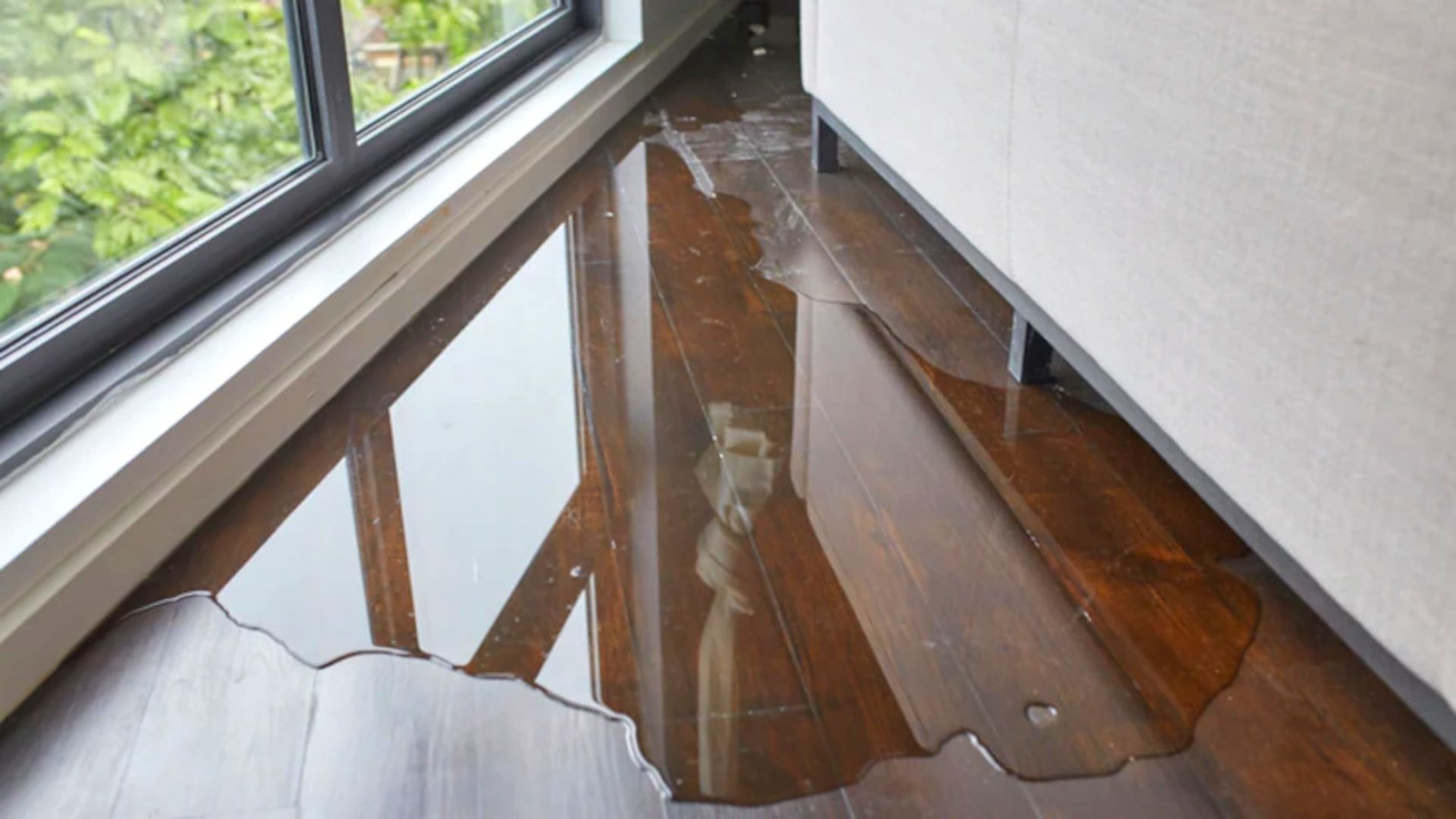 Water Leakage On Wooden Floor Water Leakage Wooden Floor