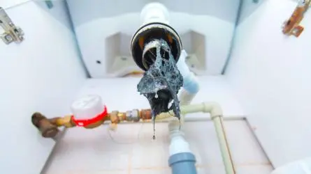 Harmful Effects Of Blocked Drainage On Your Home Harmful Effects Of Blocked Drainage On Your Home