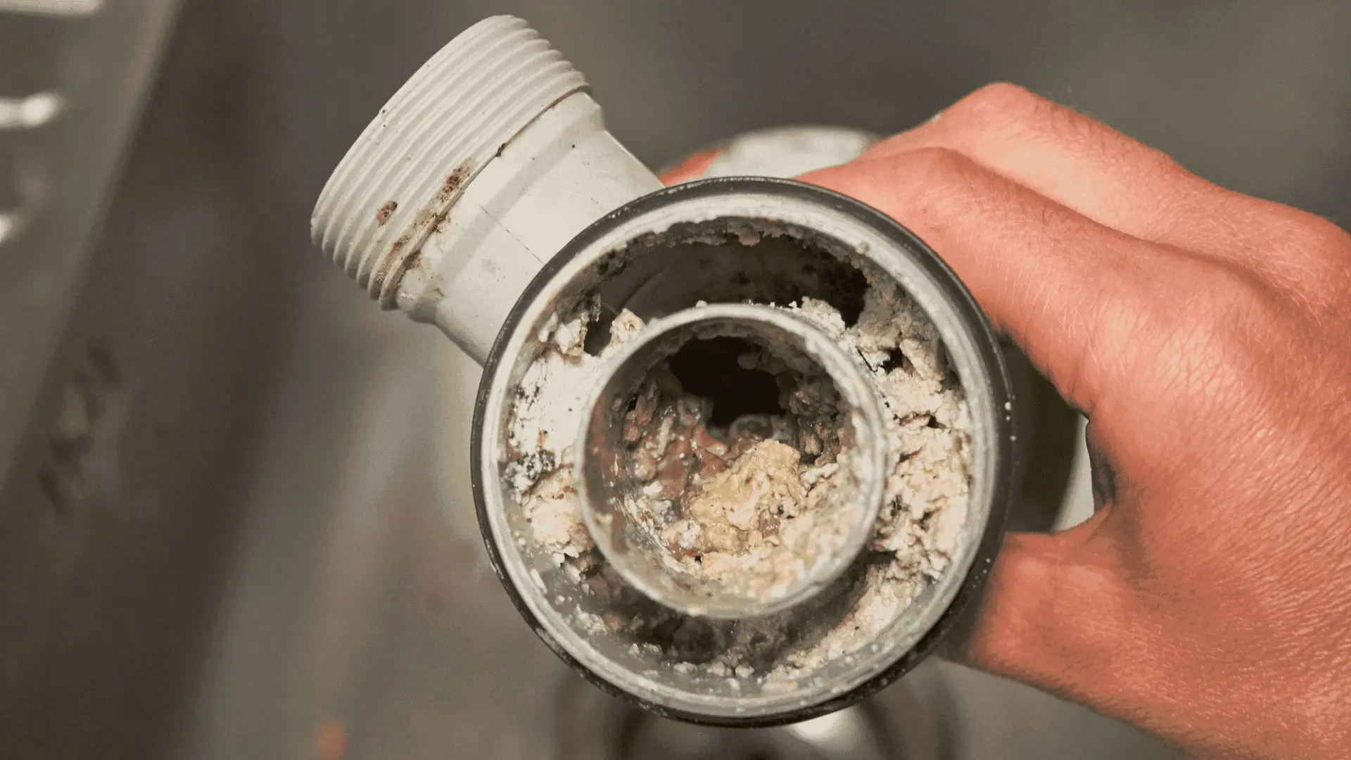 6 Tips & Tricks To Prevent Blocked Drains At Home ‐ Woolf Plumbing