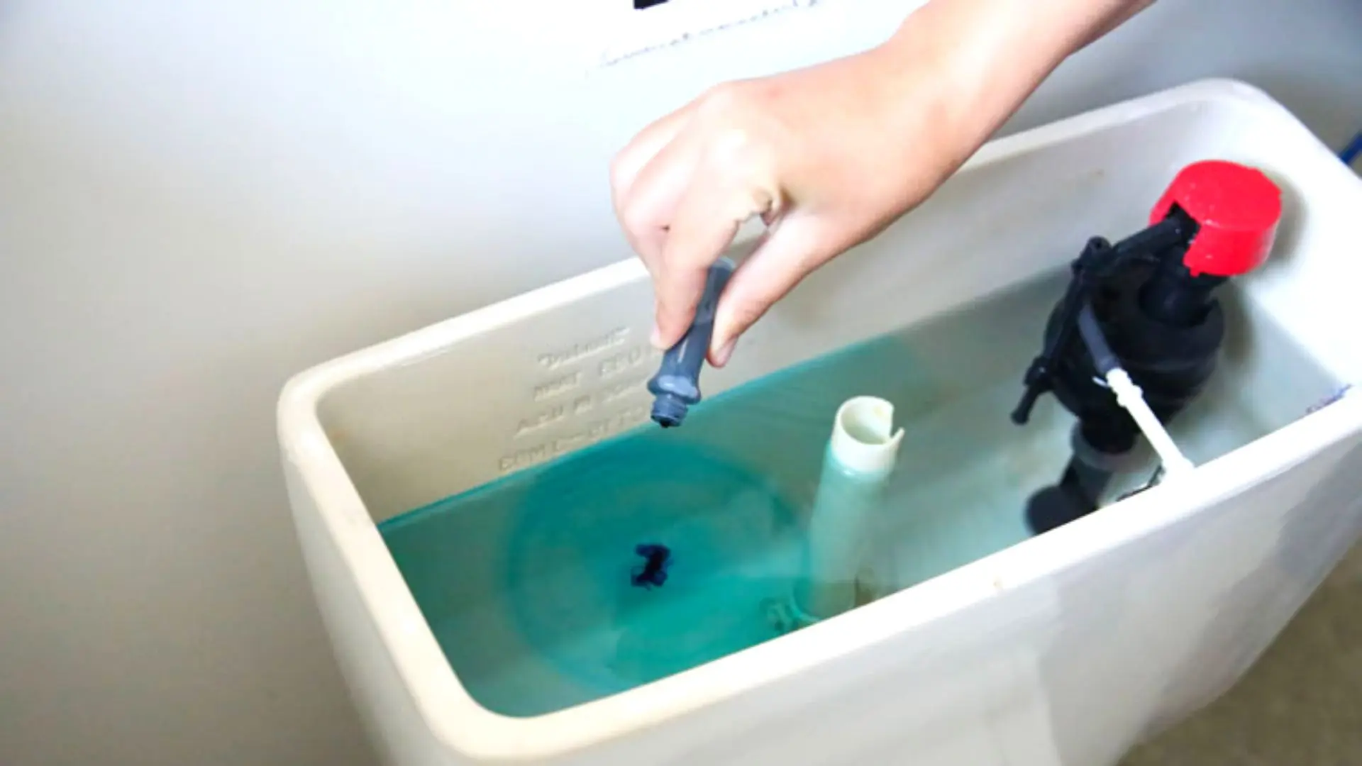Dye Test In Toilet Cistern Dye Test Toilet Cistern