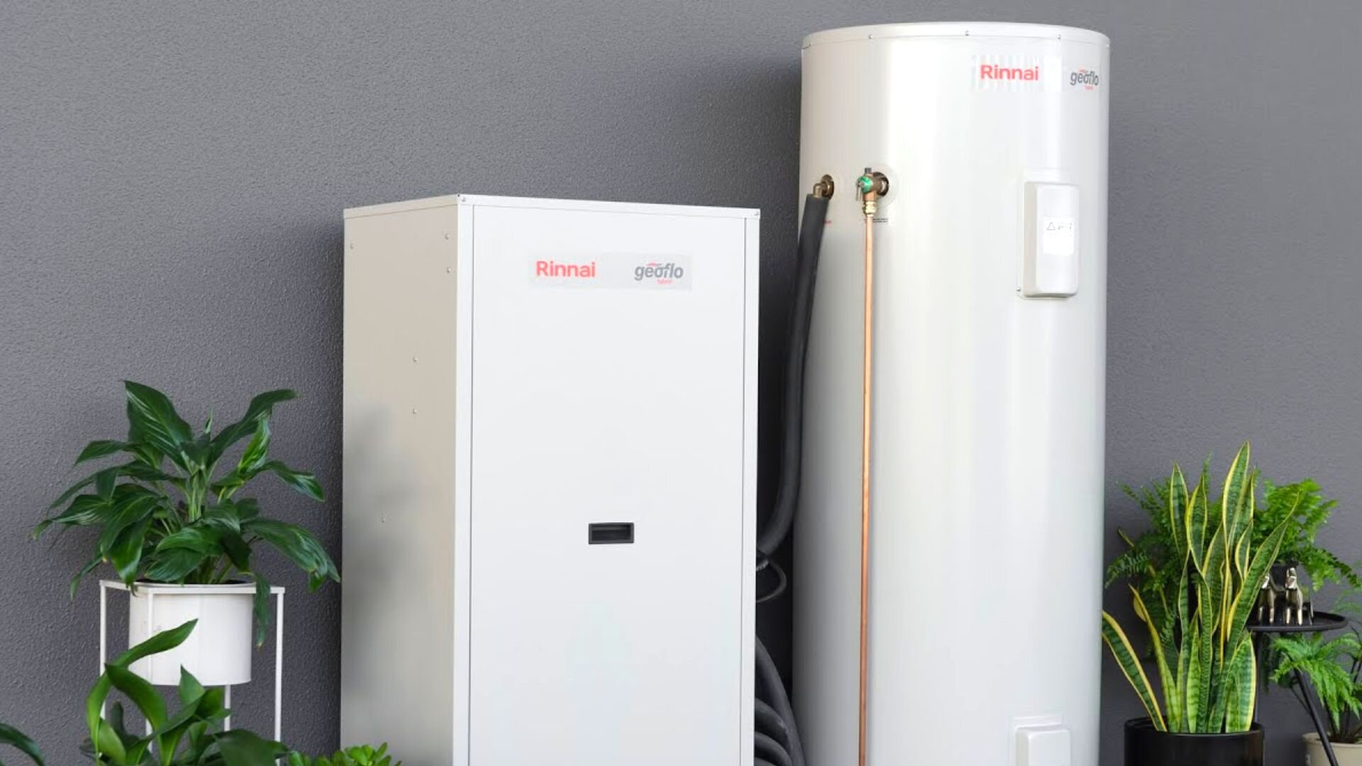 Rinnai Water Heater Outside Rinnai Water Heater