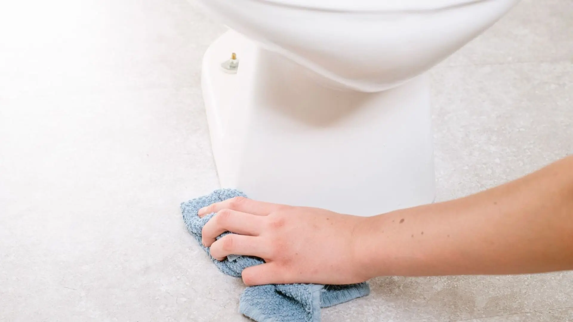 Top Toilet Tips Tightening Your Toilet Seat & More ‐ Woolf Plumbing