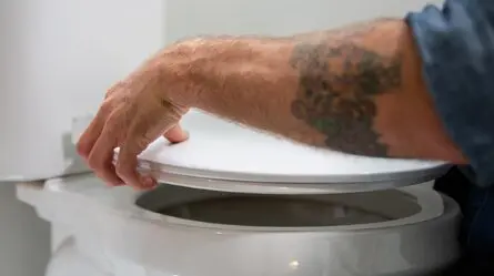 How To Tighten The Toilet Seat And Other Toilet Tips How To Tighten The Toilet Seat And Other Toilet Tips