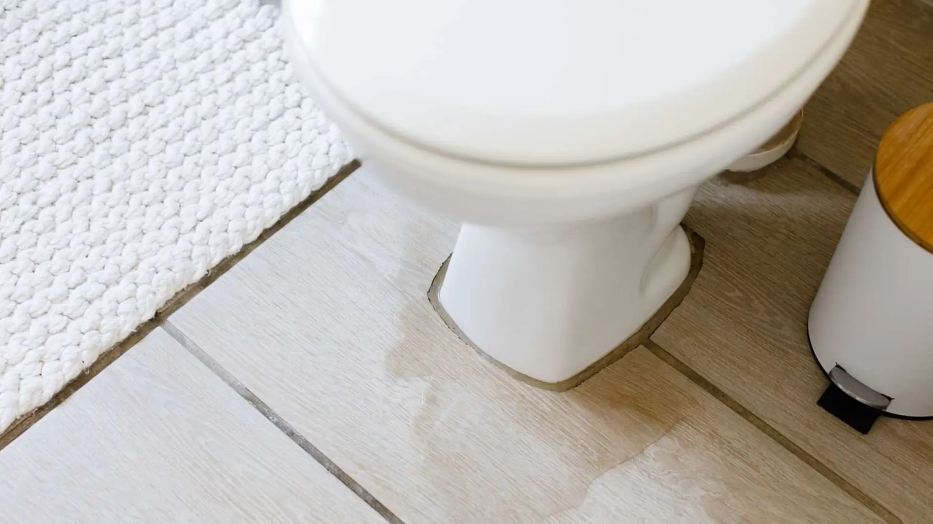 Leaking Toilet Tiles