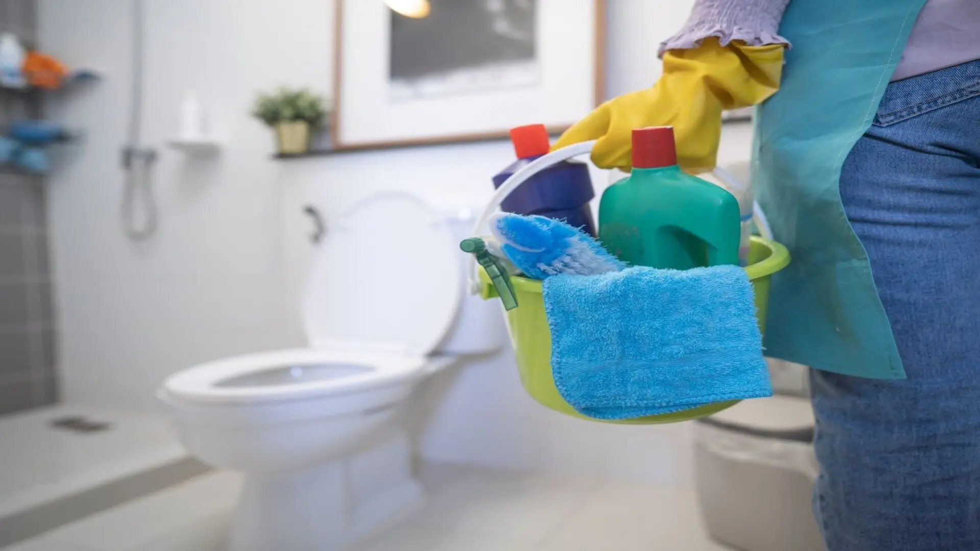 A Guide to Toilet Bowl Maintenance Preventing Stains and Odours