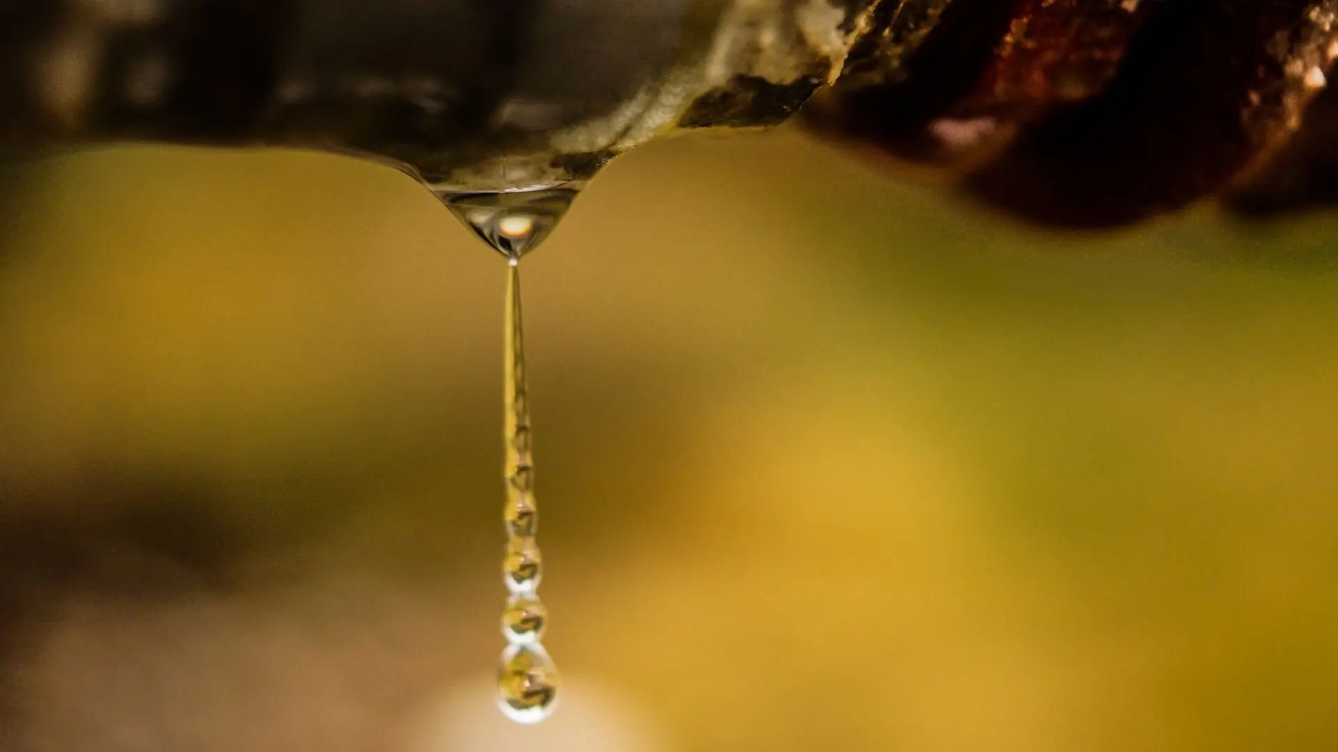 Drip Pipe Leak Drip Pipe Leak