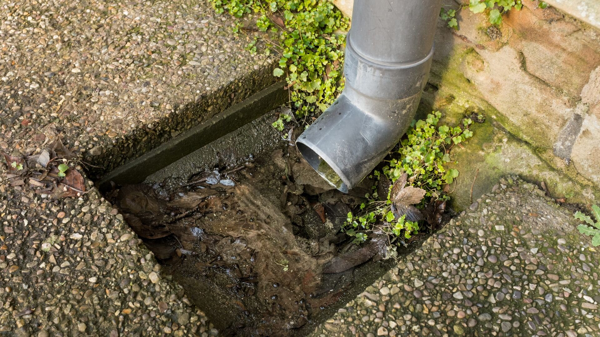 Blocked Outside Drain Blocked Drain