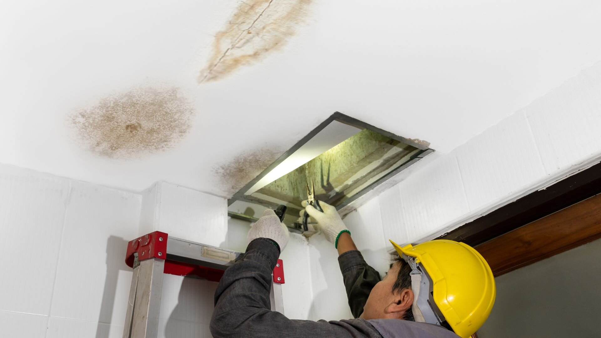 Finding Leaking Pipe Finding Leaking Pipe
