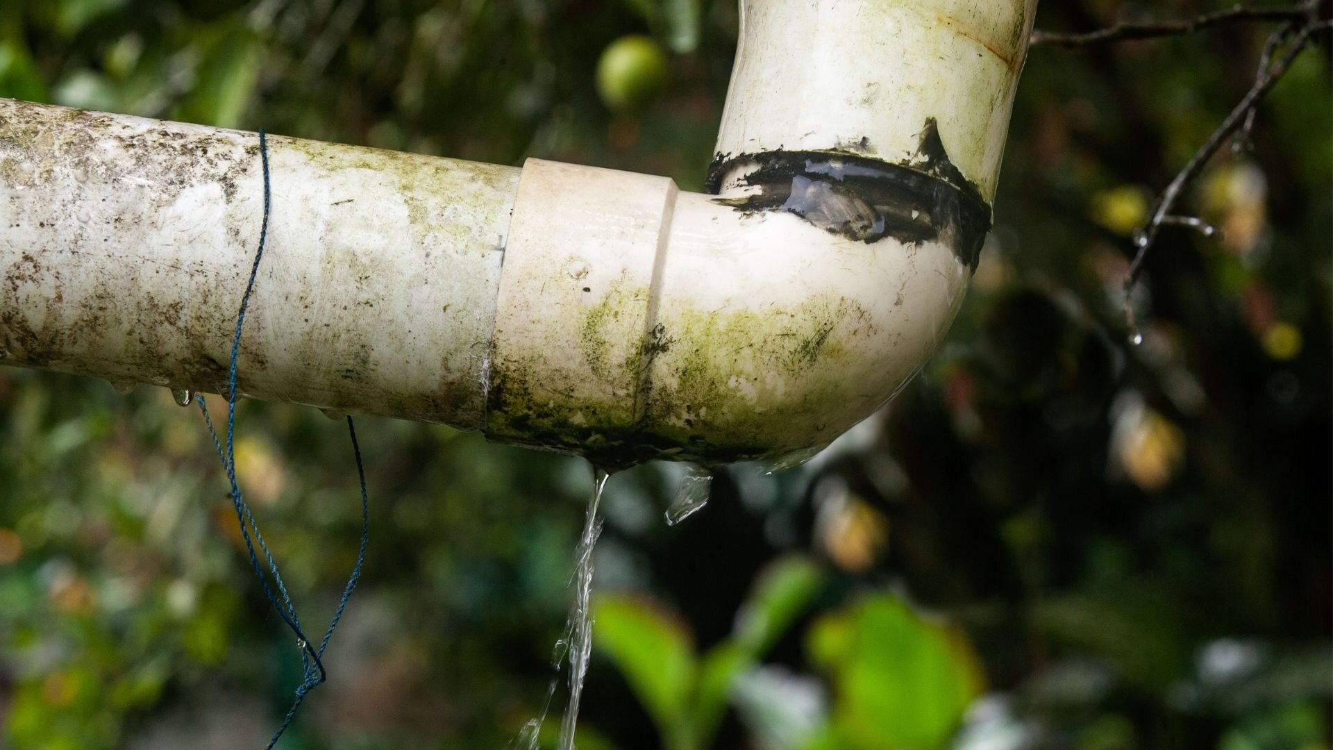 Old Pipe Leaking Pipe Leaking