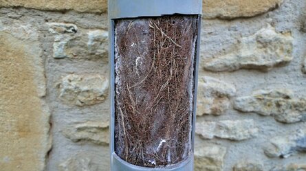 The Impact of Tree Roots on Emergency Drain Blockages The Impact of Tree Roots on Emergency Drain Blockages