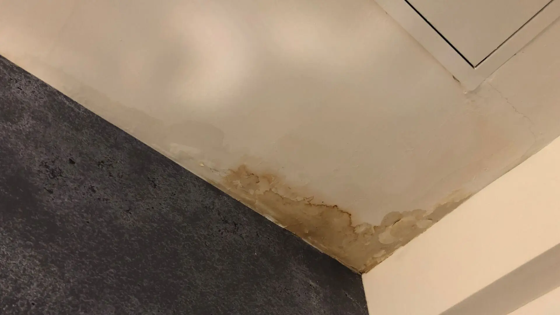 Leaks On Ceiling Leaks Ceiling