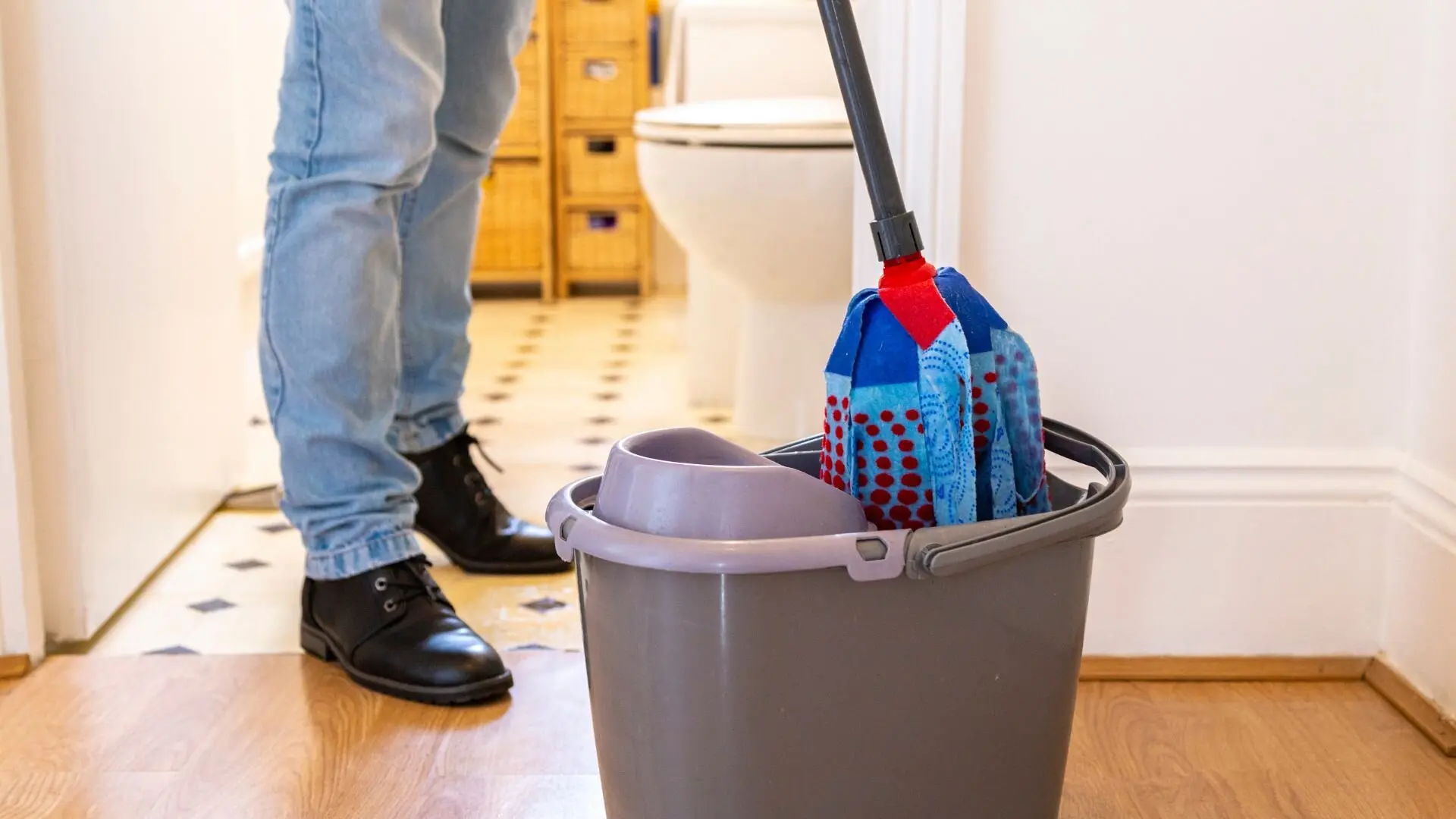 Mop For Unblocking Toilet Mop Unblocking Toilet