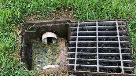 Gurgling Drains Sign of Tree Roots Gurgling Drains Sign of Tree Roots