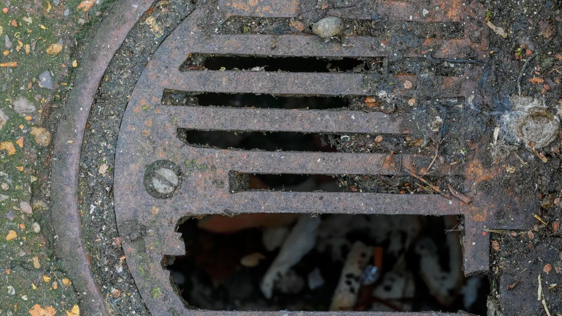 Outside Blocked Drain With Debris Blocked Drain Debris