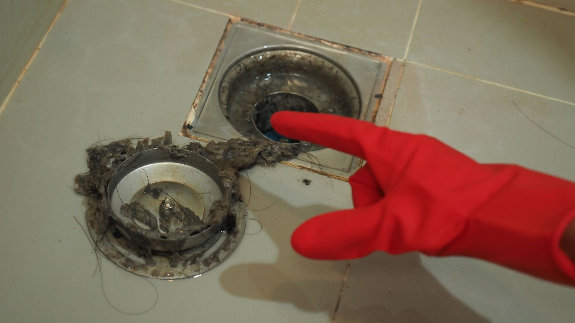 Blocked Drain Drain Inspection Blocked Drain Drain Inspection