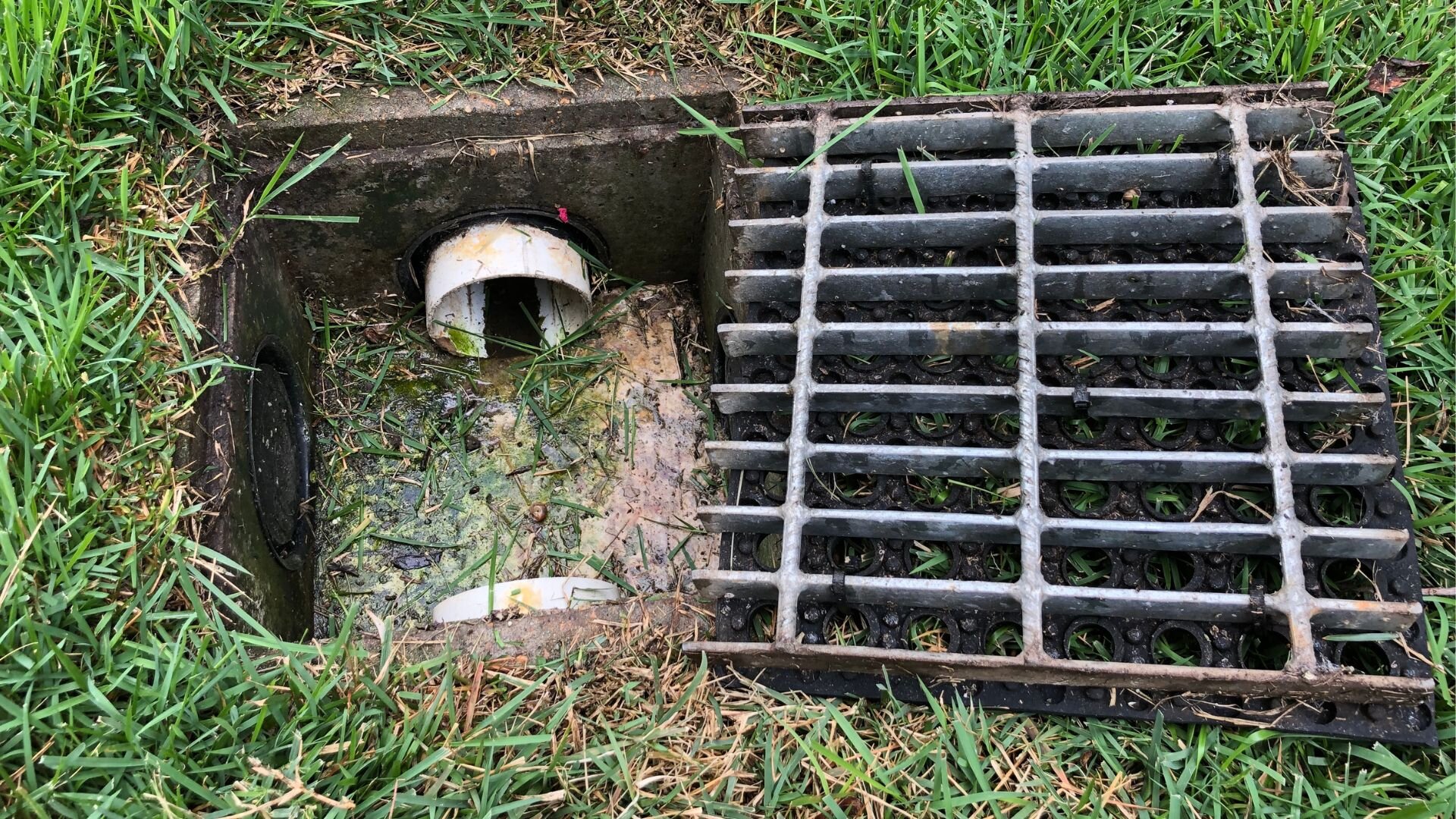 Outside Drain Inpsection Drain Inpsection