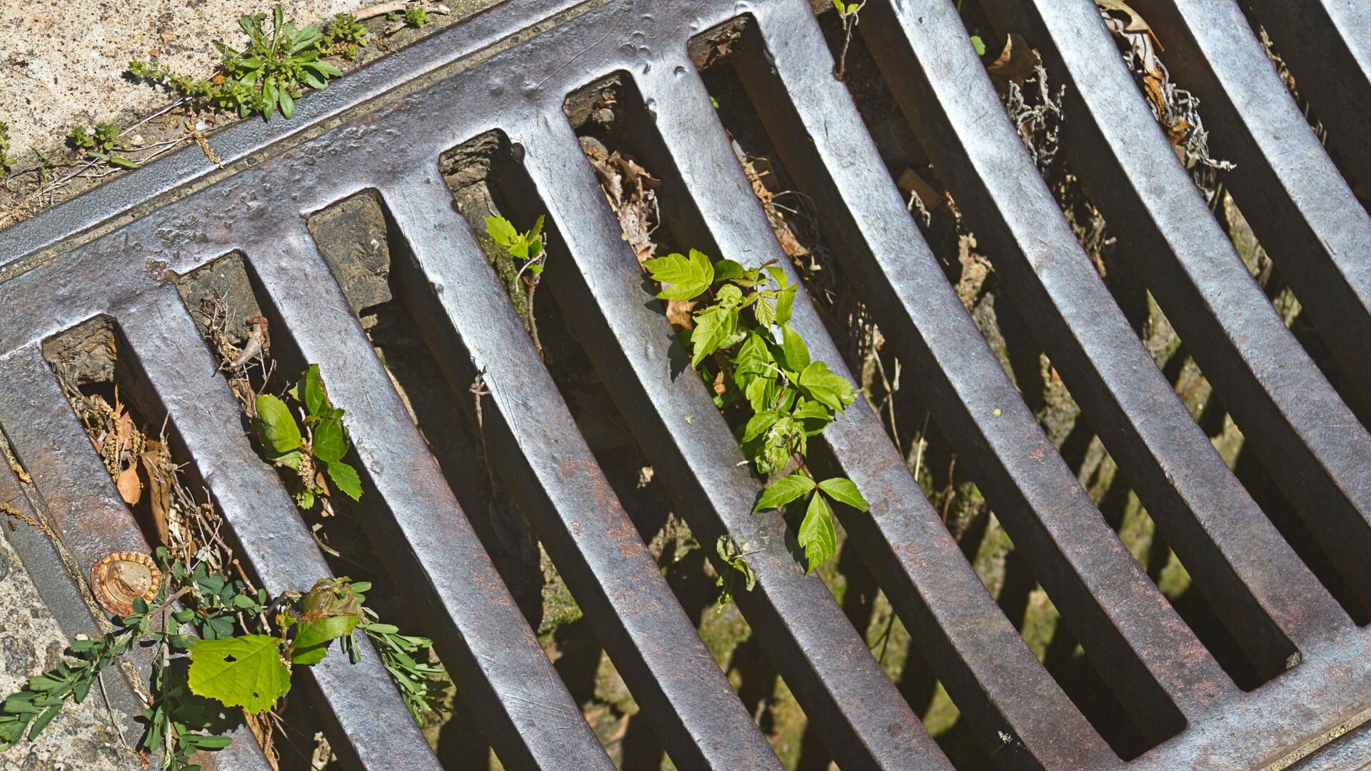 Stormwater Drain Needs To Be Cleared Stormwater Drain Cleared