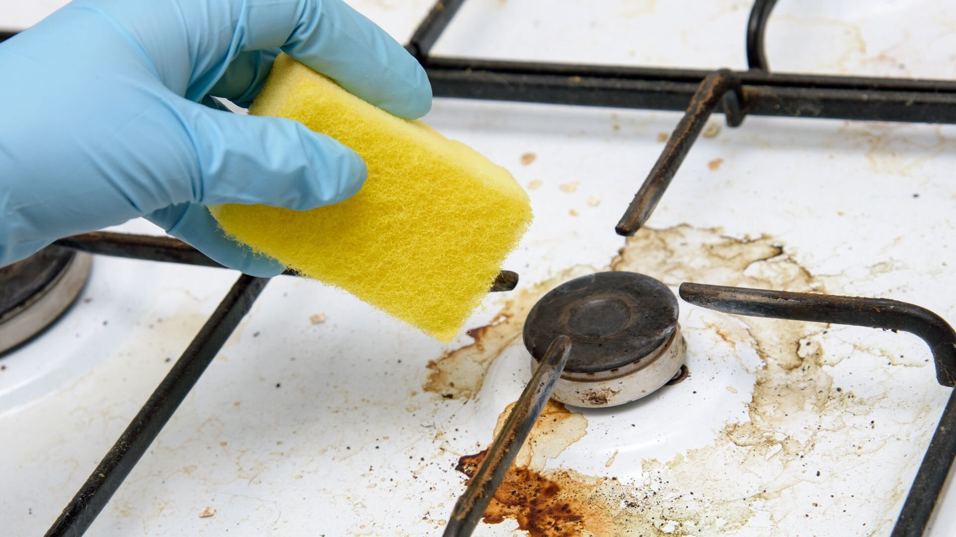 Gas Stove Cleaning Gas Stove Cleaning