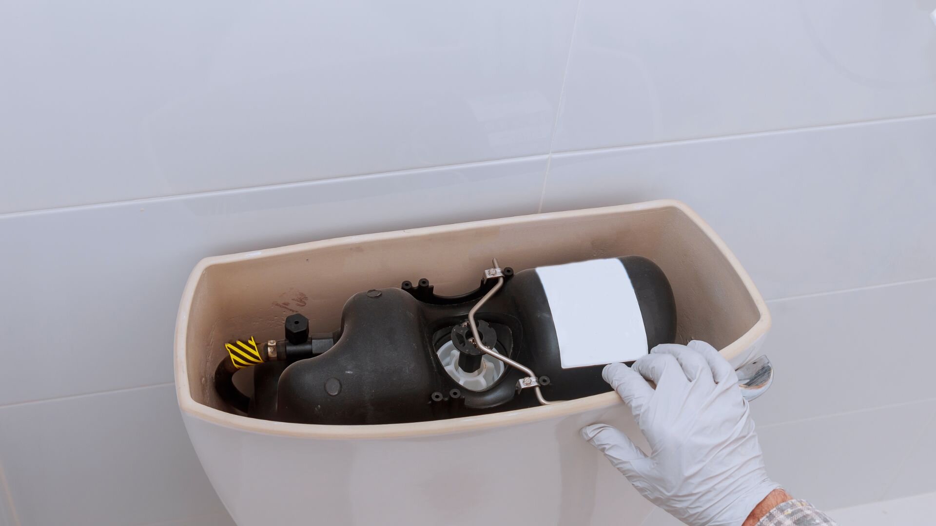 Cistern Of Toilet Leaking Cistern Toilet Leaking