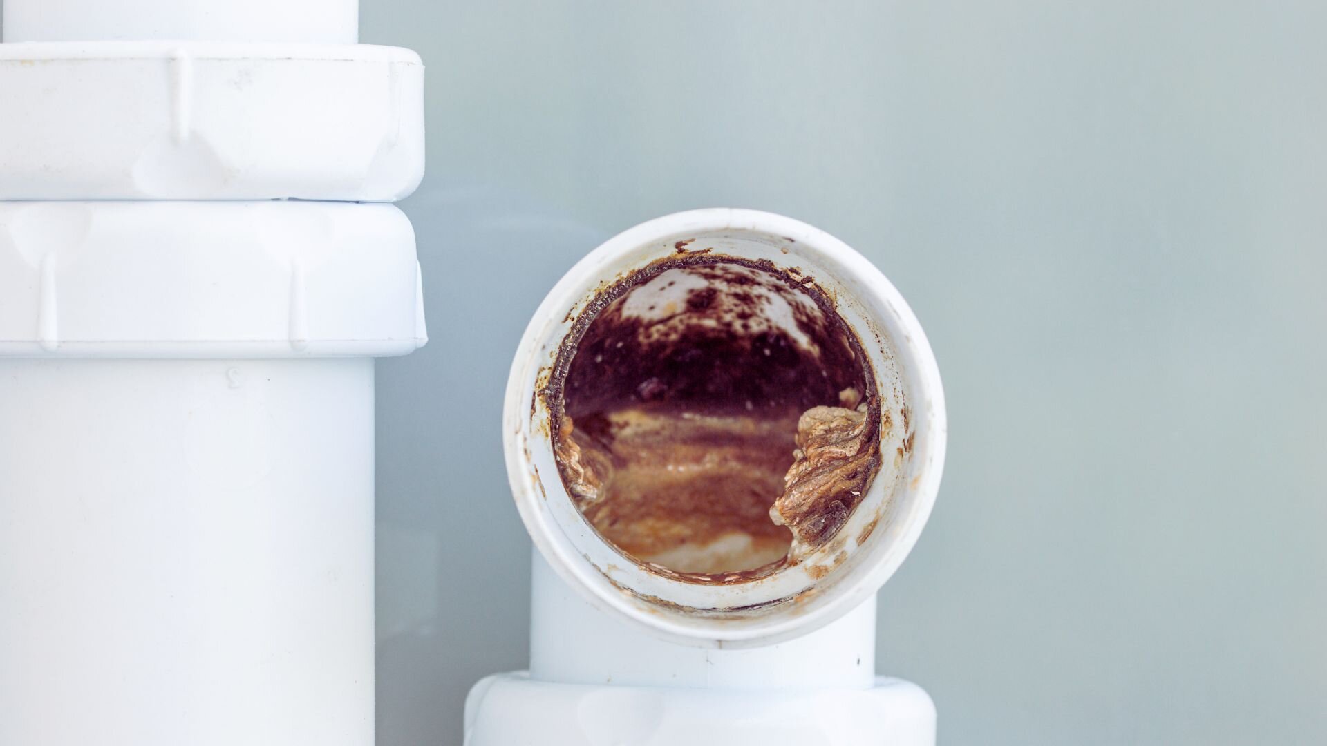 Clogged Old Pipe Interior Plumbing Blockage Clogged Pipe Interior Plumbing Blockage